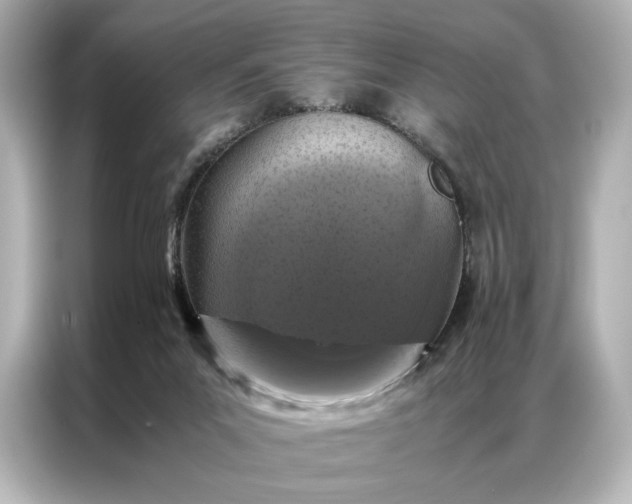 X0000086890023200704301006