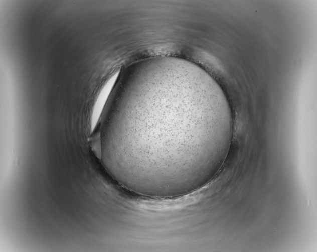 X0000086890025200704301006