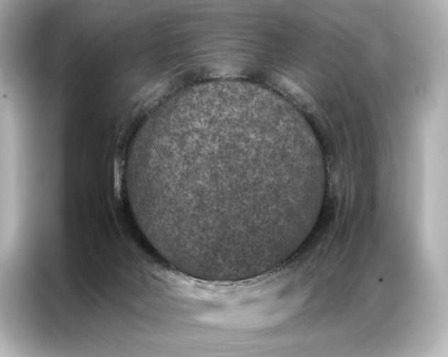 X0000086890026200704301006