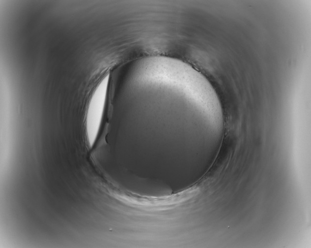 X0000086890027200704301006