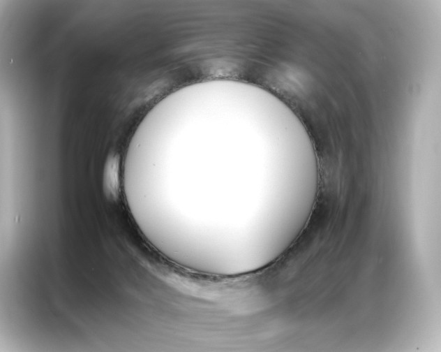 X0000086890028200704301006