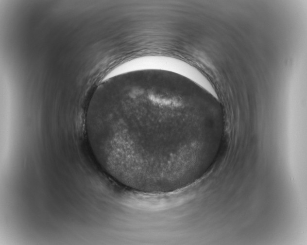 X0000086890029200704301006