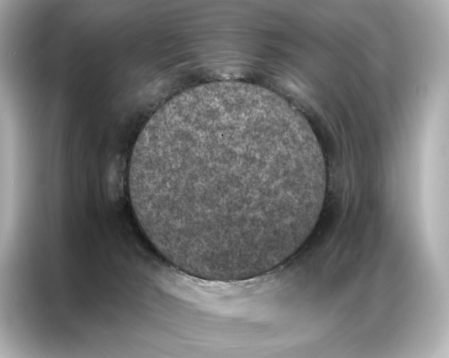 X0000086890030200704301006