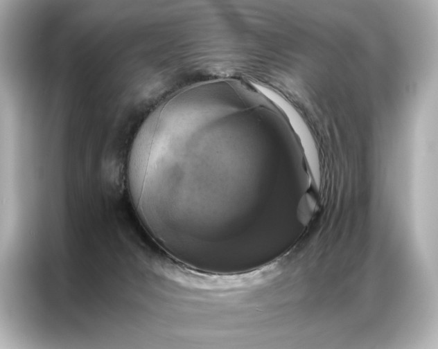 X0000086890031200704301006