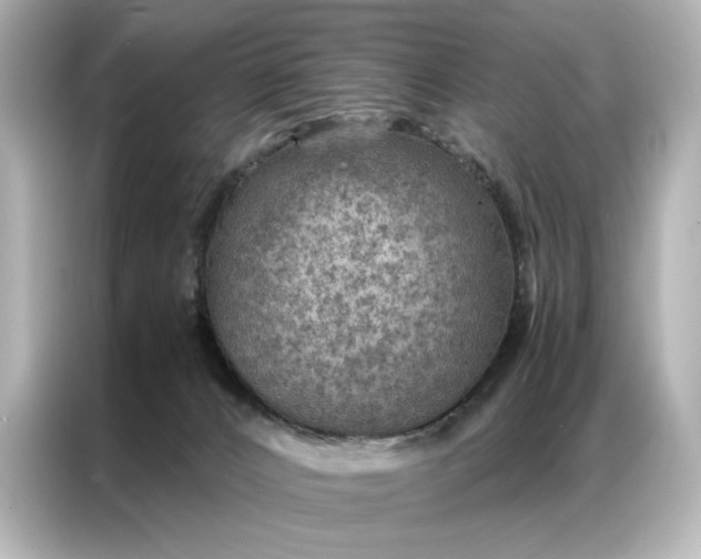 X0000086890032200704301006