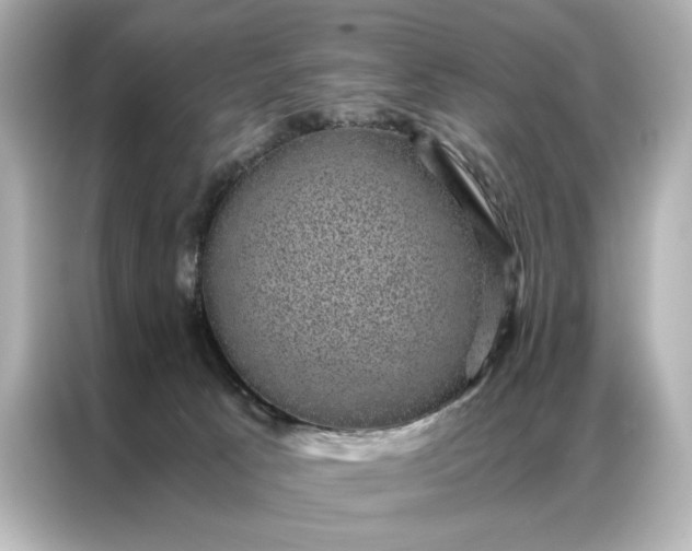 X0000086890033200704301006