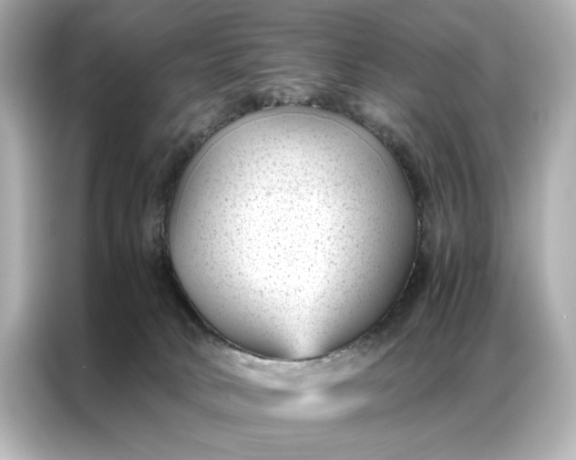 X0000086890034200704301006