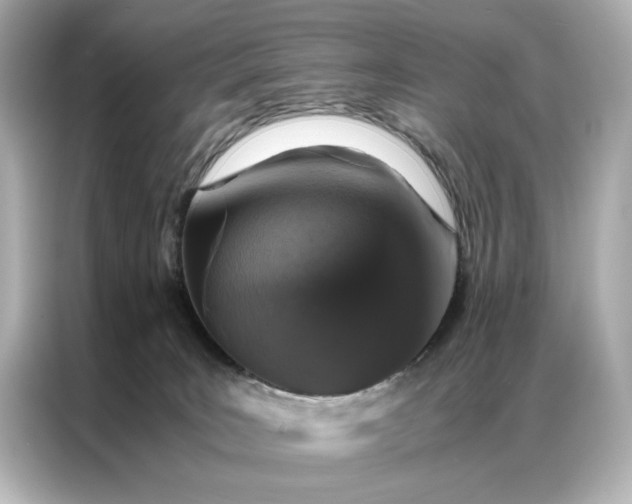 X0000086890035200704301006