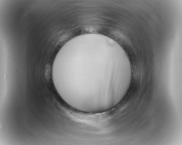 X0000086890036200704301006