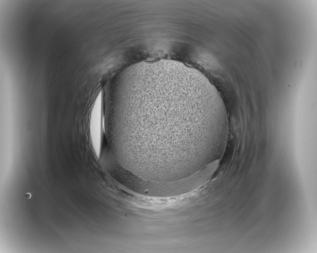 X0000086890037200704301006