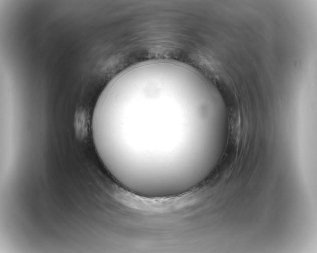 X0000086890038200704301006