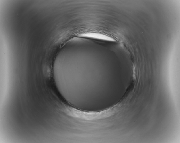 X0000086890039200704301006