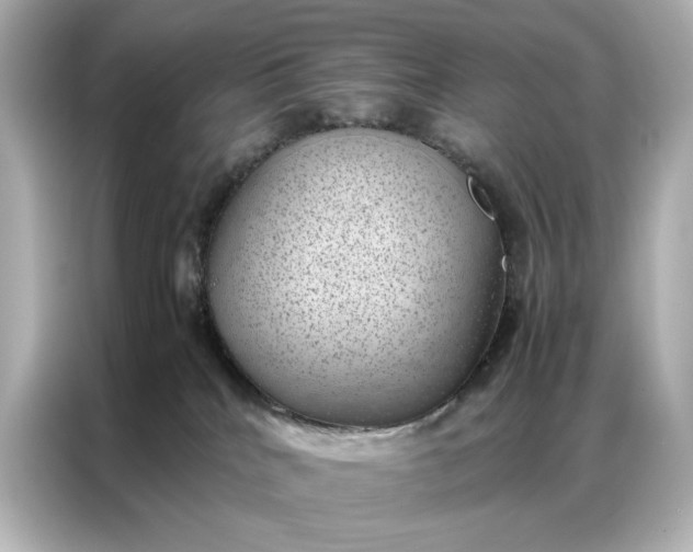 X0000086890040200704301006