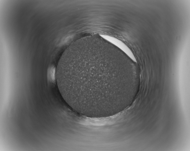 X0000086890041200704301006