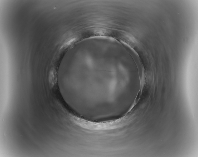 X0000086890043200704301006