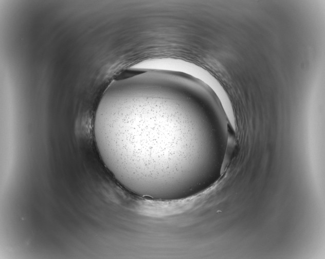 X0000086890045200704301006