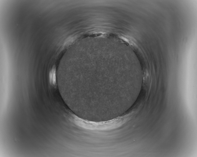 X0000086890046200704301006