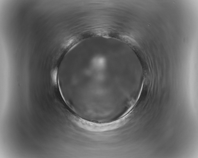 X0000086890047200704301006