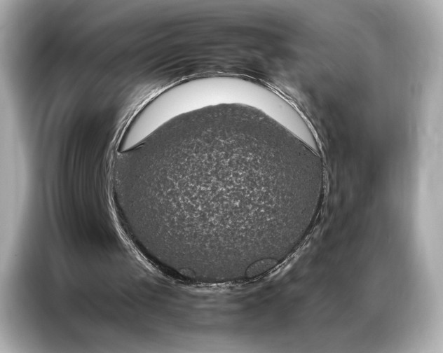 X0000086890049200704301005