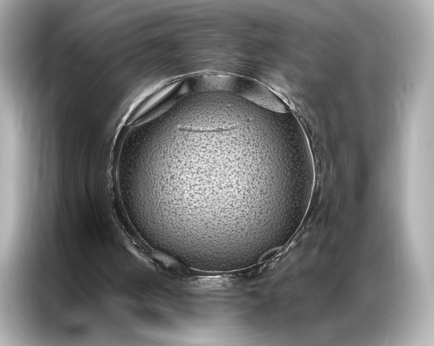 X0000086890050200704301005