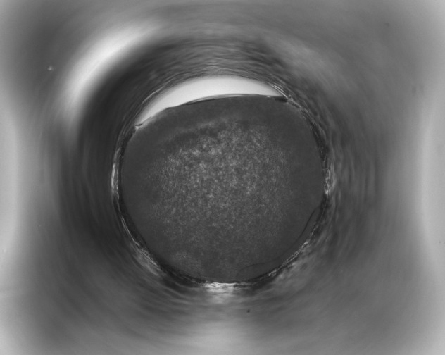 X0000086890052200704301005