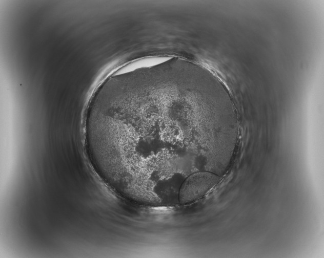 X0000086890053200704301005