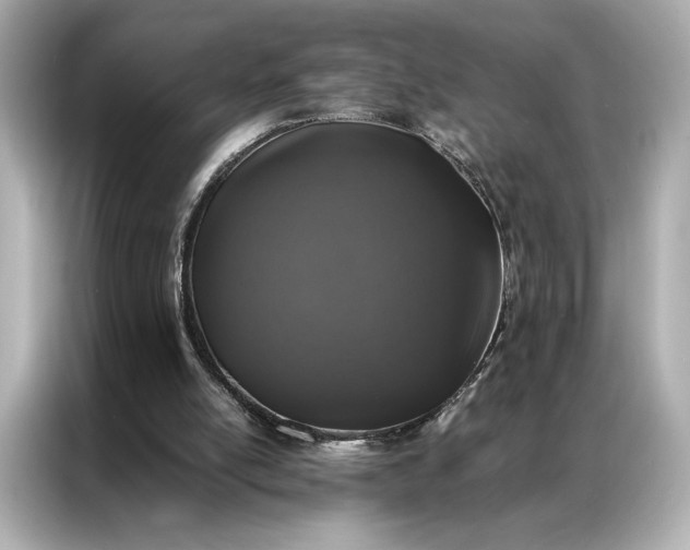 X0000086890054200704301005