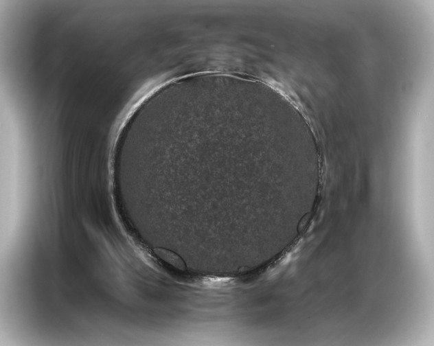 X0000086890055200704301005