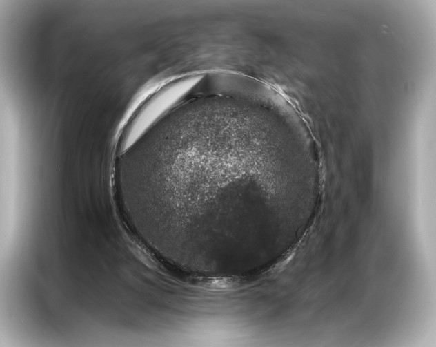 X0000086890056200704301005