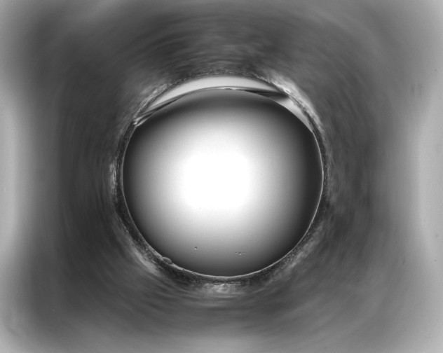 X0000086890057200704301005