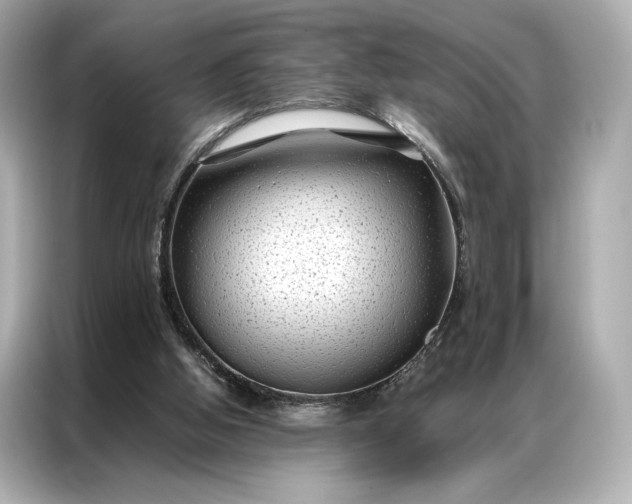 X0000086890058200704301005