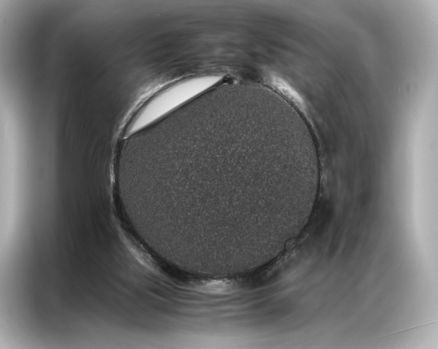 X0000086890059200704301005