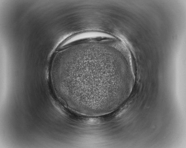 X0000086890060200704301005