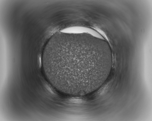 X0000086890061200704301005