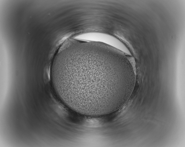 X0000086890062200704301005