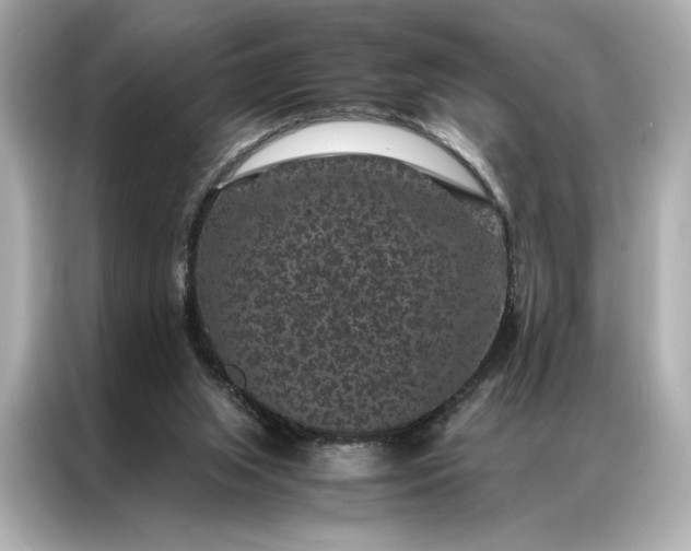 X0000086890063200704301005