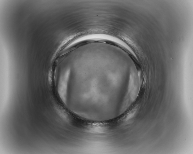 X0000086890064200704301005