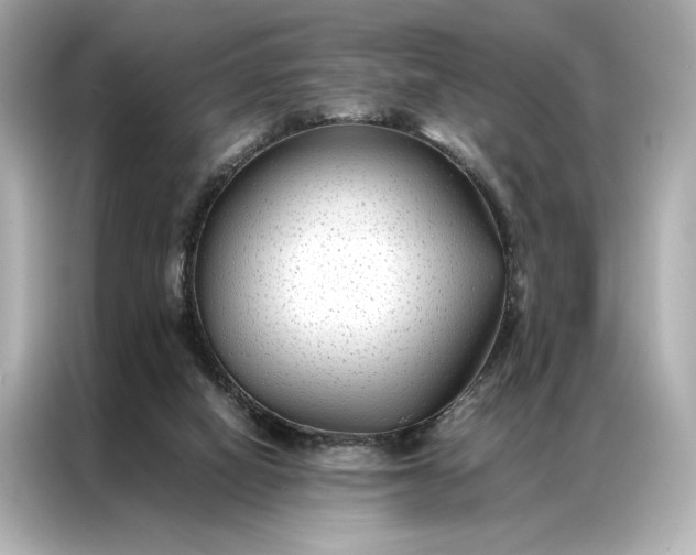 X0000086890066200704301005