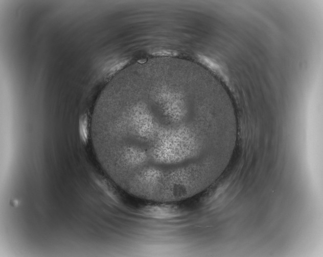 X0000086890069200704301005