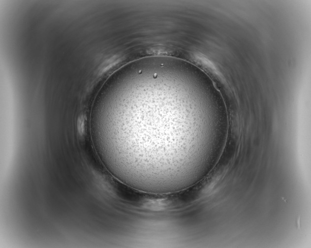 X0000086890071200704301005