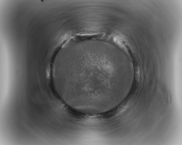 X0000086890072200704301005