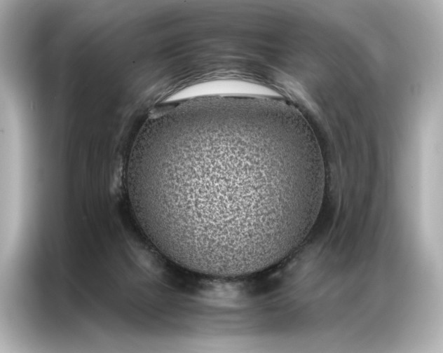 X0000086890073200704301005