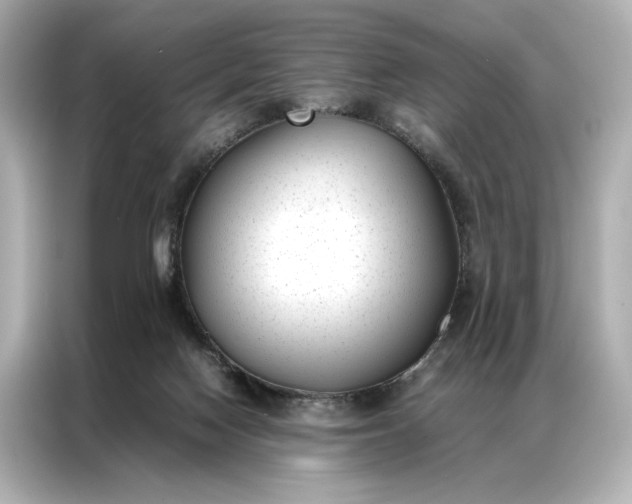 X0000086890074200704301005