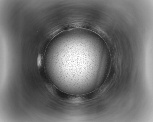 X0000086890075200704301005