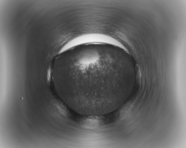 X0000086890076200704301005