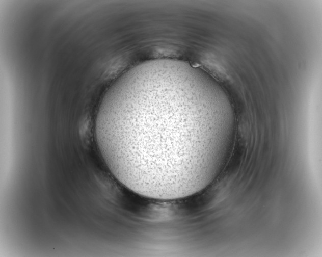 X0000086890079200704301005