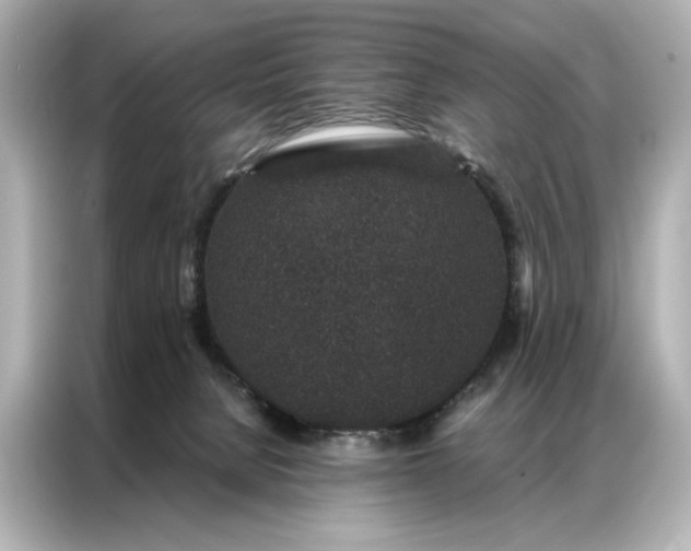 X0000086890080200704301005