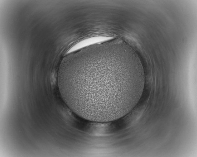 X0000086890081200704301005