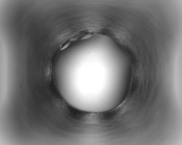 X0000086890082200704301005