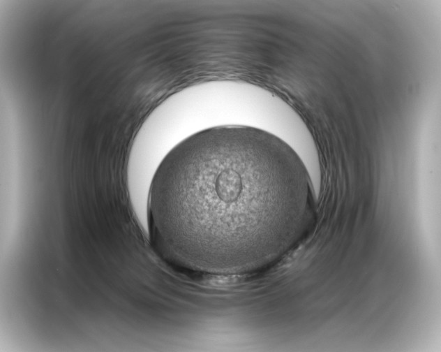 X0000086890084200704301005